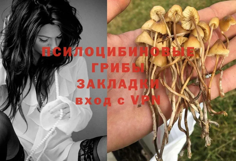 Галлюциногенные грибы Magic Shrooms  МЕГА зеркало  Луга  что такое  