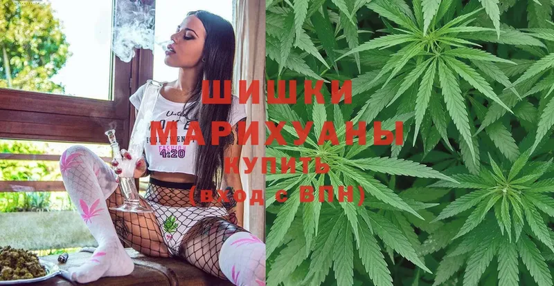 Канабис SATIVA & INDICA  Луга 